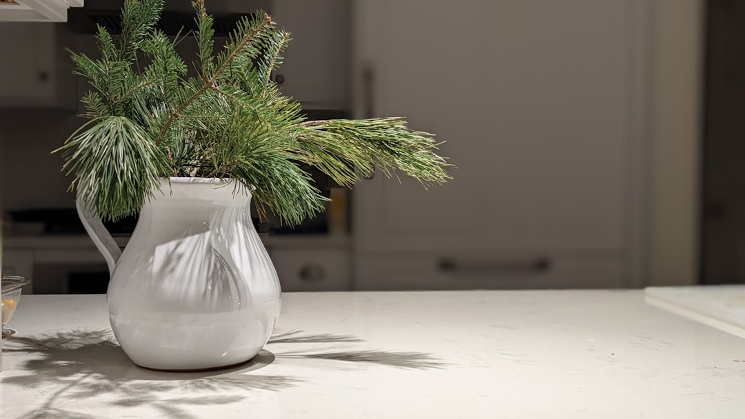 Budgeting for new kitchen countertops in Redding, CA